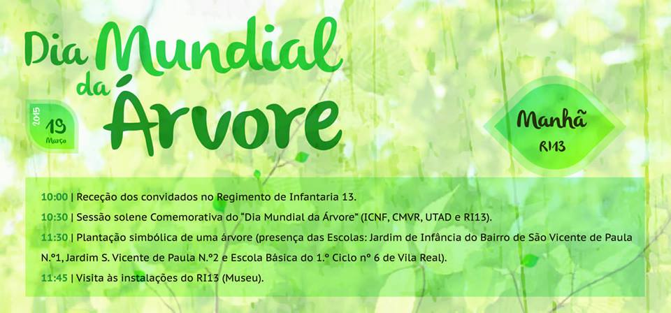 dia arvore