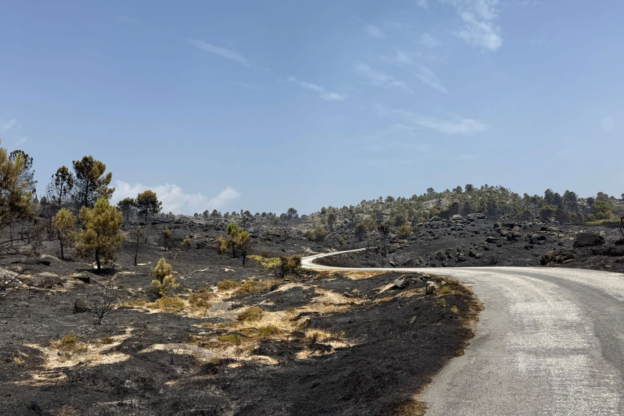 MUNICÍPIO DE VILA REAL APROVA APOIOS EXCECIONAIS NA SEQUÊNCIA DOS INCÊNDIOS FLORESTAIS