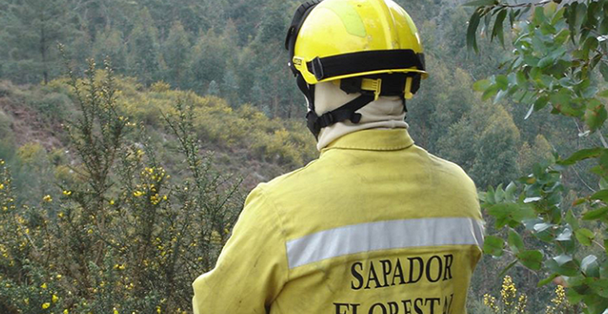 CÂMARA MUNICIPAL DE VILA REAL APROVA APOIO IMEDIATO ÀS EQUIPAS DE SAPADORES FLORESTAIS